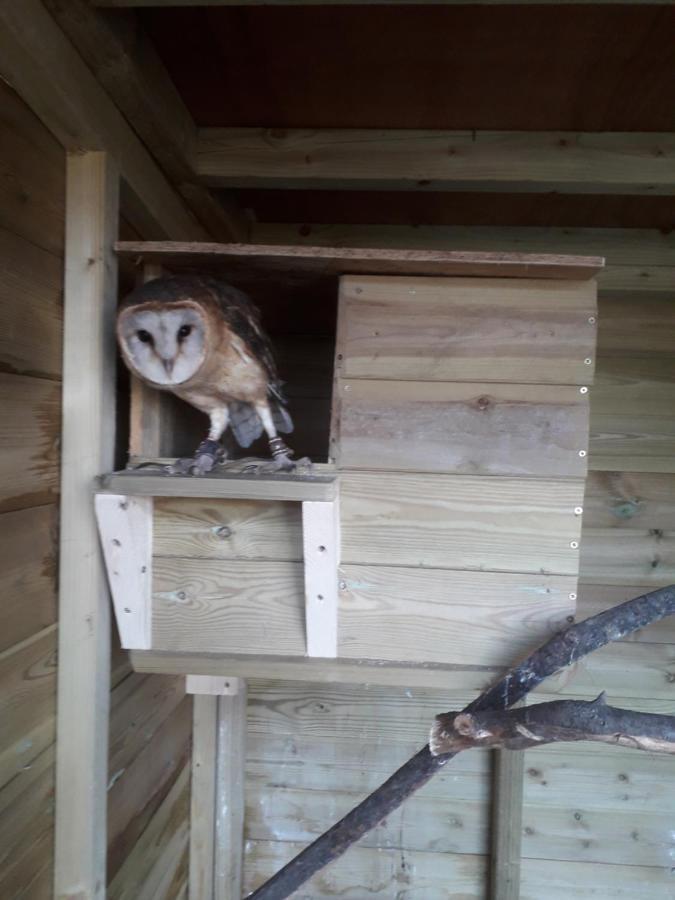 Ruby Shepherds Hut Sleeps 4 赖厄德 外观 照片